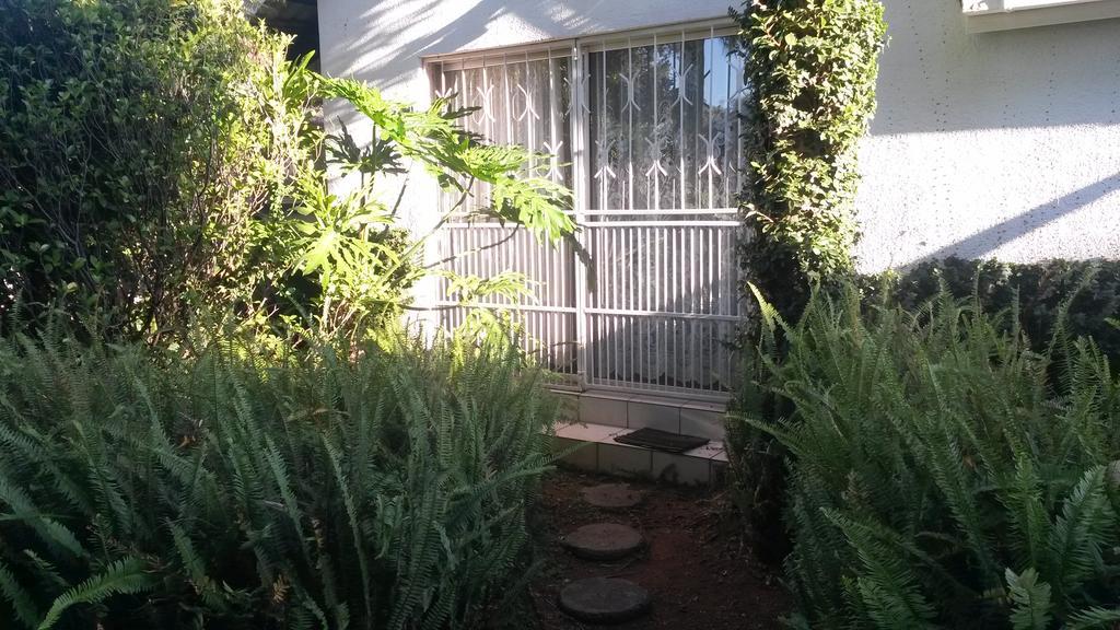 Willow Tree Guest House Kempton Park Ngoại thất bức ảnh